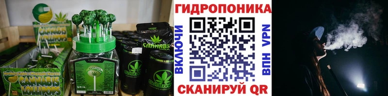 Canna-Cookies марихуана  Купить закладки  Грязовец 