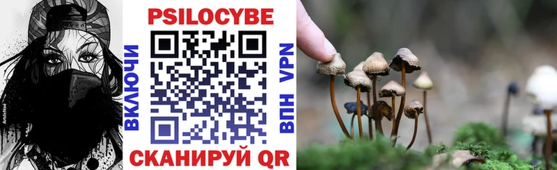 Галлюциногенные грибы Magic Shrooms  Купить закладки  Грязовец 